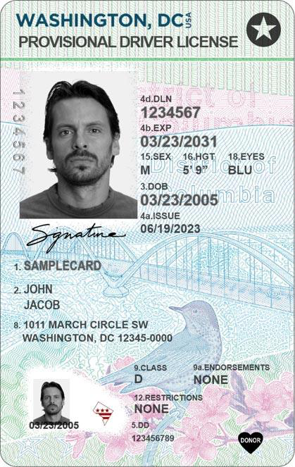 Washington D.C. sample license