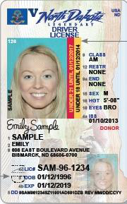 North Dakota sample license