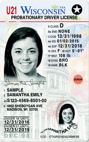 Wisconsin sample license