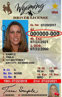 Wyoming sample license